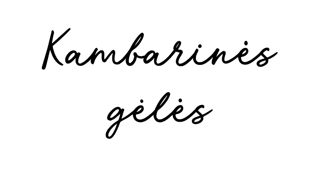 kambarinesgeles
