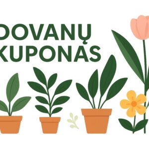 Dovanų kuponas