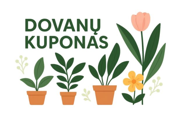 Dovanų kuponas